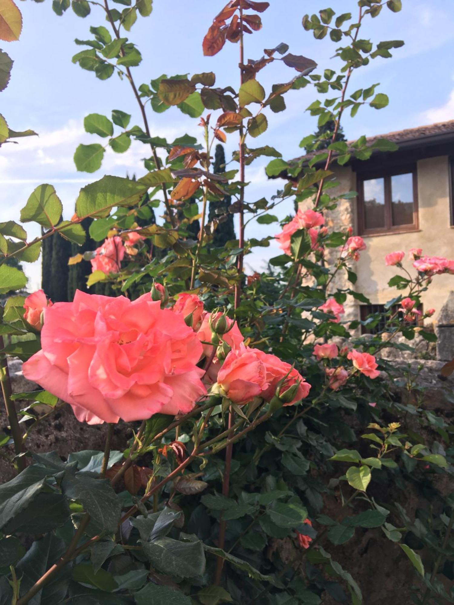 Agriturismo Val Costermano Exterior foto